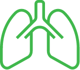 Sistema esquelético, respiratorio, endocrino, renal y sanguíneo